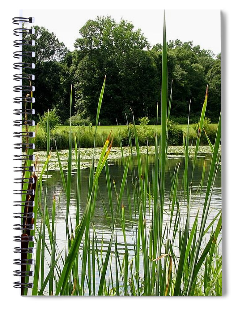 Beaver Island Spiral Notebook featuring the photograph Pond at Beaver Island State Park in New York #2 by Rose Santuci-Sofranko