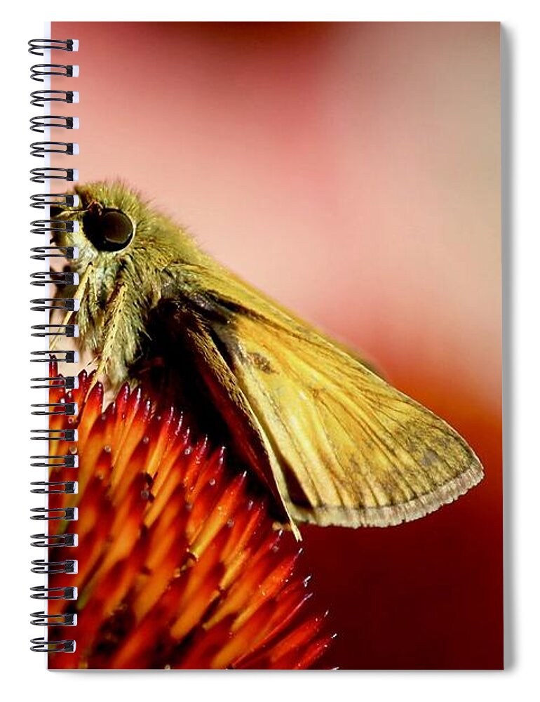 Butterfly Spiral Notebook featuring the photograph Skipper #2 by Sarah Lilja
