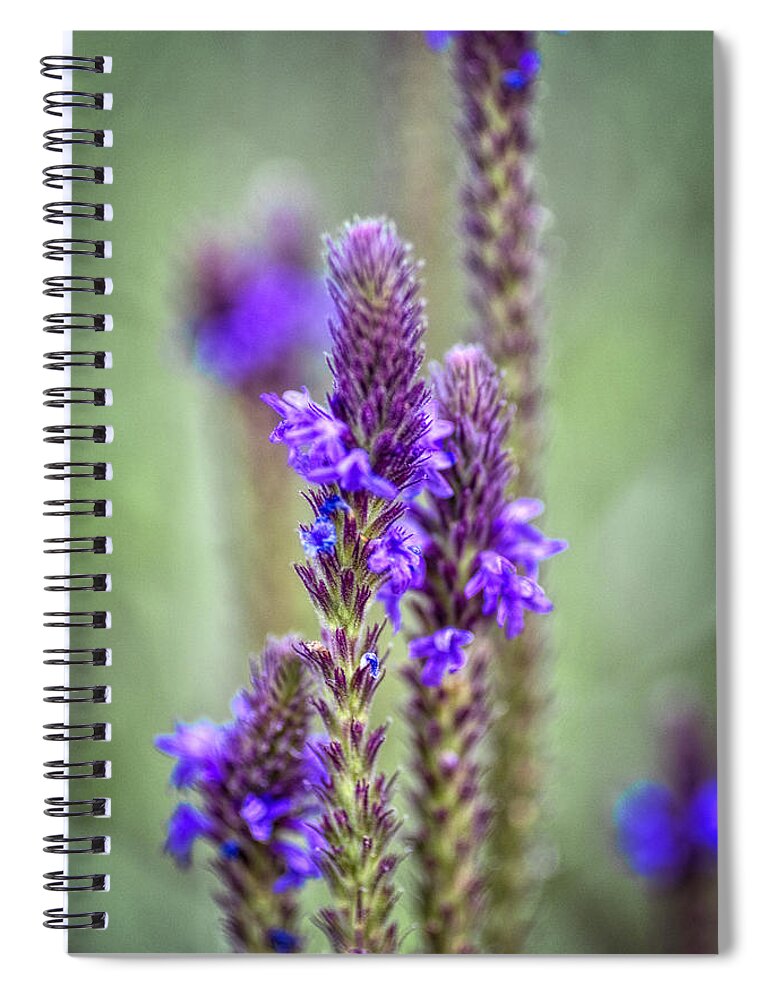 Wildflower Spiral Notebook featuring the photograph Spring Dreams #1 by Diana Powell