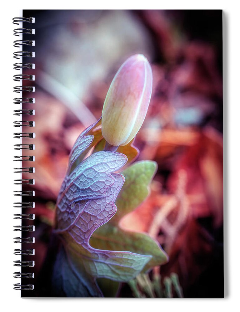 Spring Flowers Spiral Notebook featuring the photograph Spring flower #2 by Lilia S