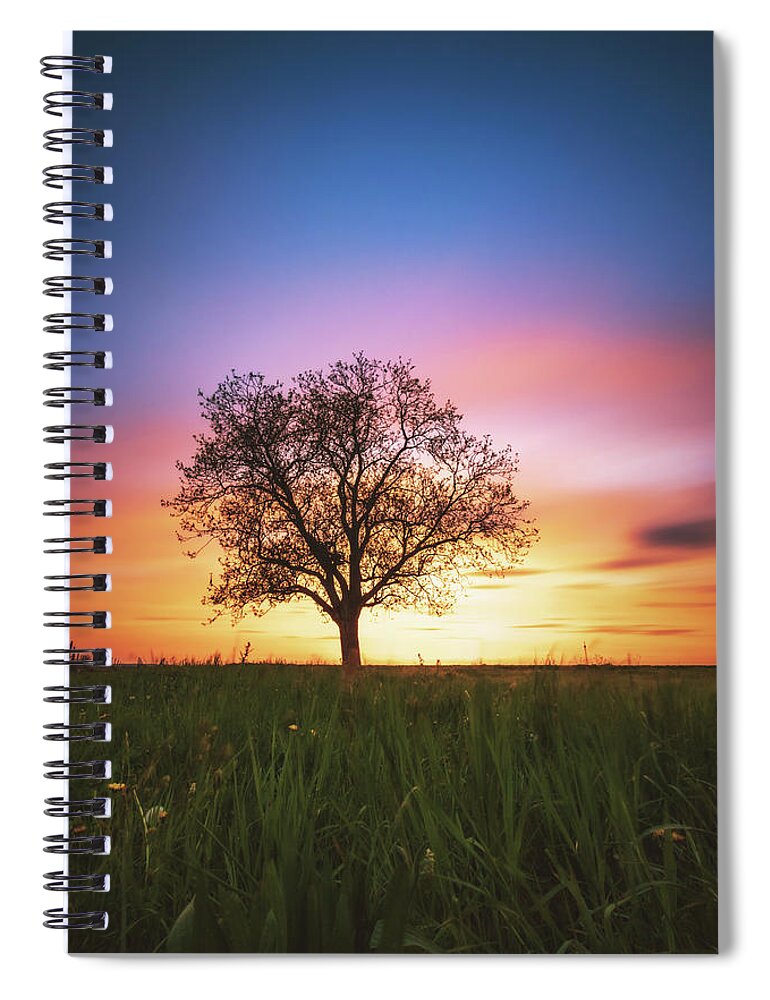 Tree Spiral Notebook featuring the photograph Sunset #4 by Marc Braner