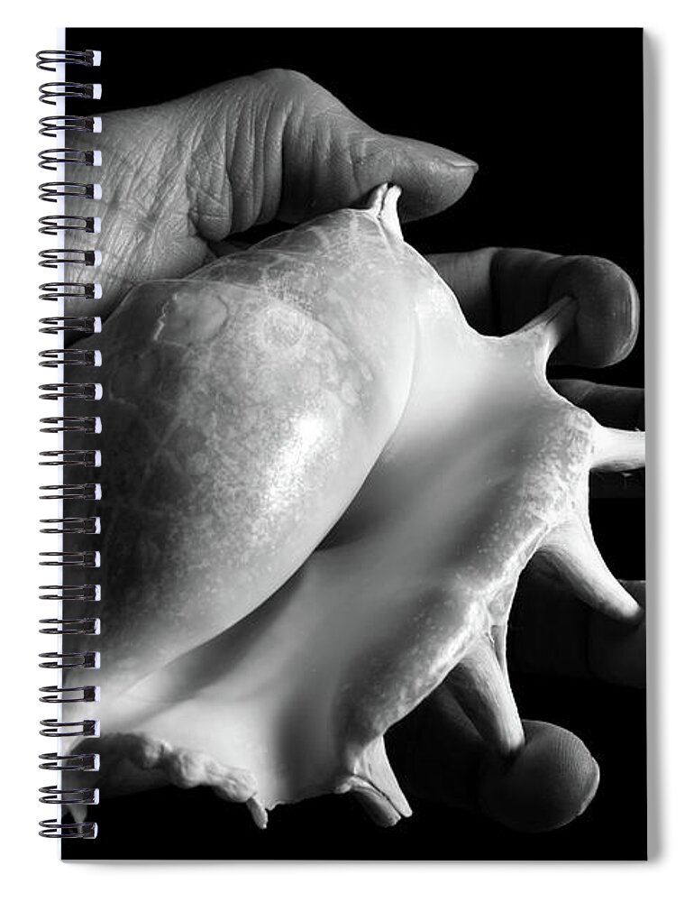 Shell Spiral Notebook featuring the photograph Touch Series - shells #2 by Nicholas Burningham