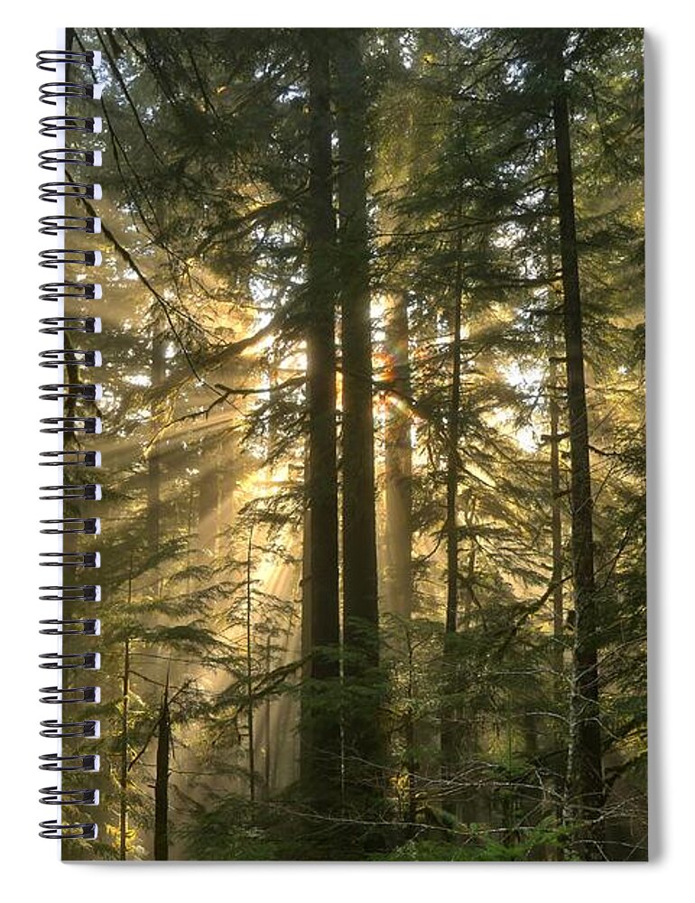 Sol Duc Spiral Notebook featuring the photograph Olympic Light Beams by Adam Jewell