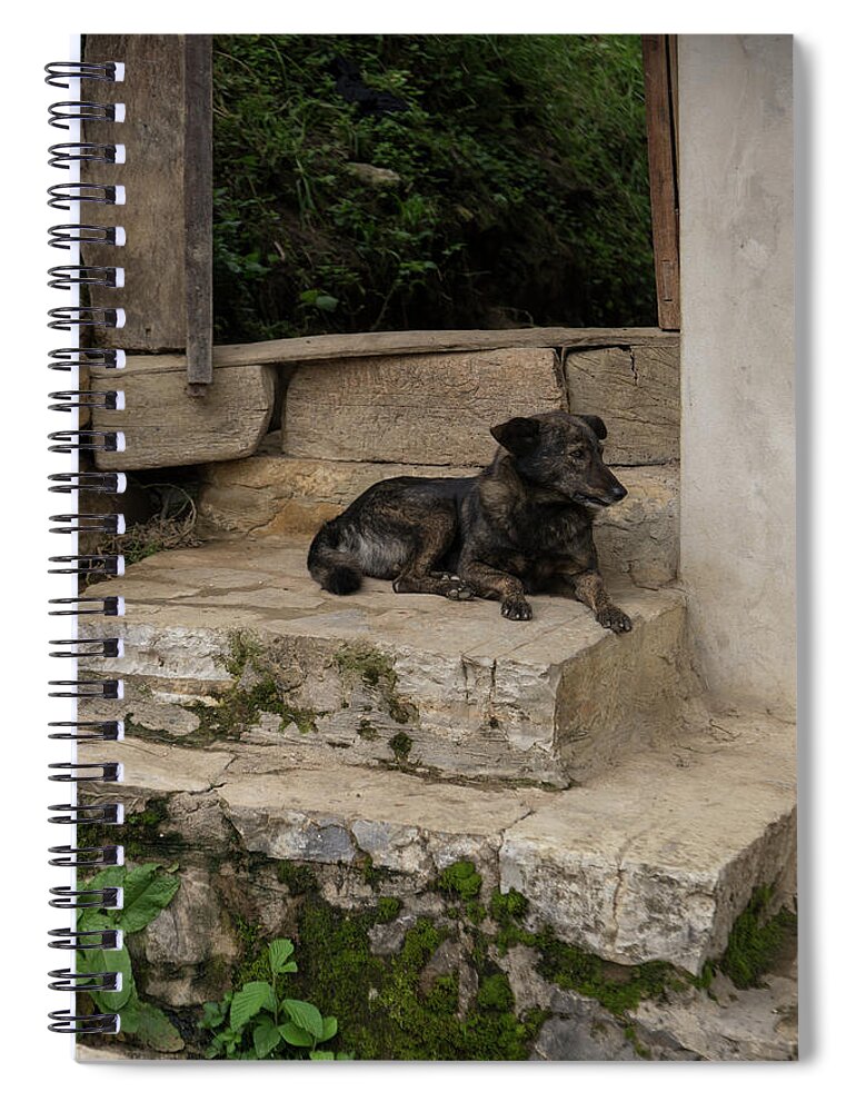 Animals Spiral Notebook featuring the digital art Leymebamba City Center #20 by Carol Ailles