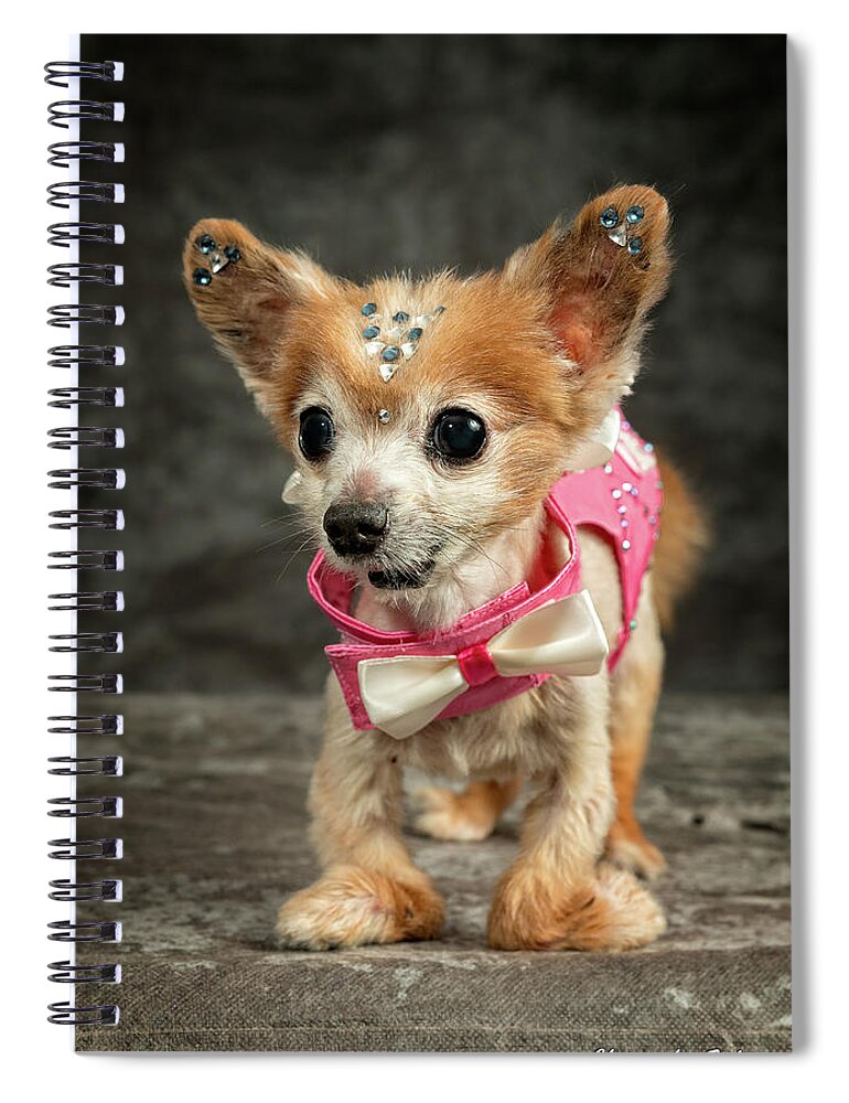 Gizmo Spiral Notebook featuring the photograph 20170804_ceh1147 by Christopher Holmes