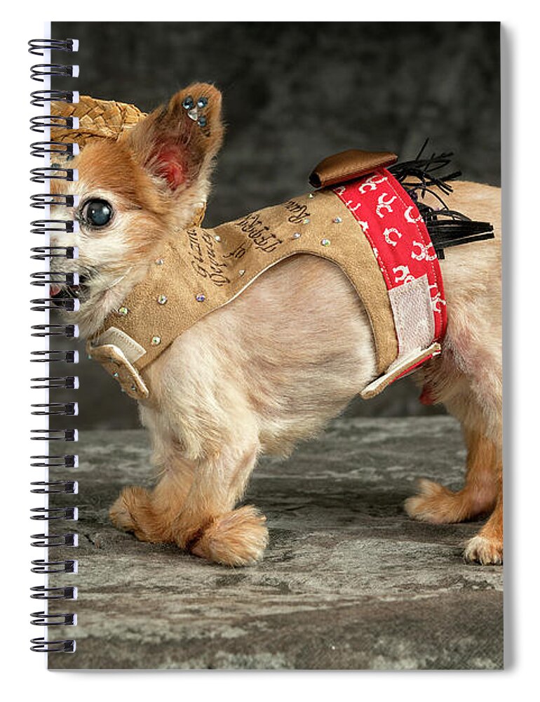 Gizmo Spiral Notebook featuring the photograph 20170804_ceh1151 by Christopher Holmes