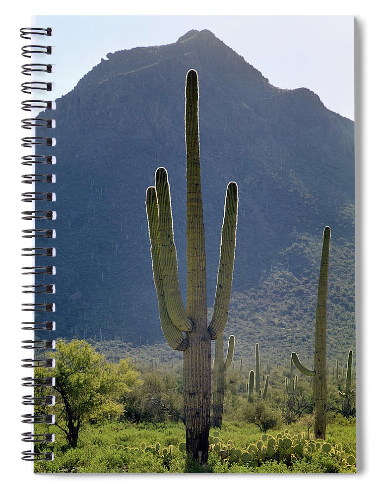 213858 Spiral Notebook featuring the photograph 213858 Saguaro Cactus and Peak AZ by Ed Cooper Photography