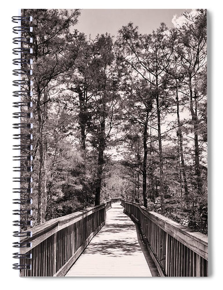 Everglades Spiral Notebook featuring the photograph Florida Everglades #22 by Raul Rodriguez