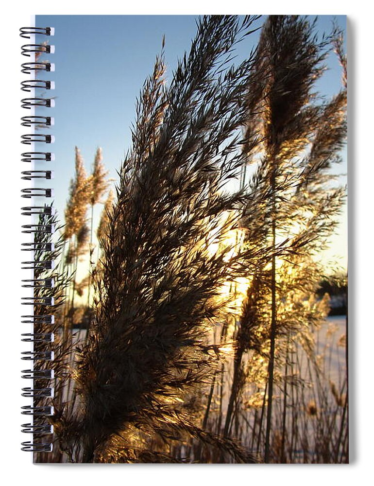 Sunbeam Spiral Notebook featuring the photograph Sunbeam #22 by Jackie Russo