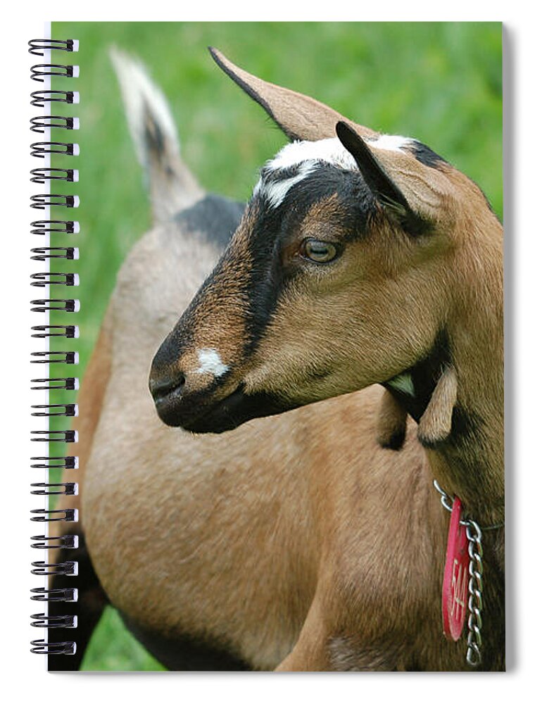 Animal Spiral Notebook featuring the digital art Animal #25 by Super Lovely