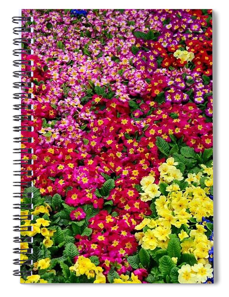 Flower Spiral Notebook featuring the photograph Flower #256 by Mariel Mcmeeking