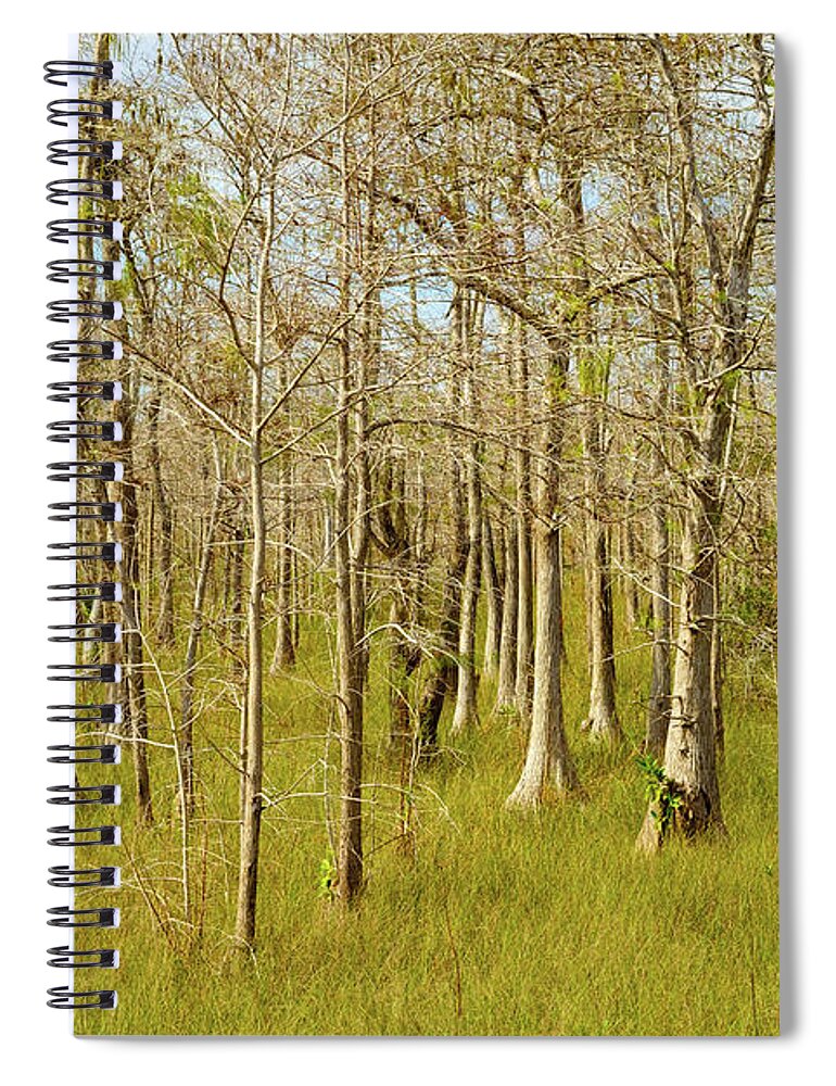 Big Cypress National Preserve Spiral Notebook featuring the photograph Florida Everglades by Raul Rodriguez