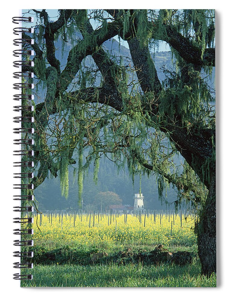 Mustard Spiral Notebook featuring the photograph 2B6319 Mustard in the Oaks Sonoma Ca by Ed Cooper Photography