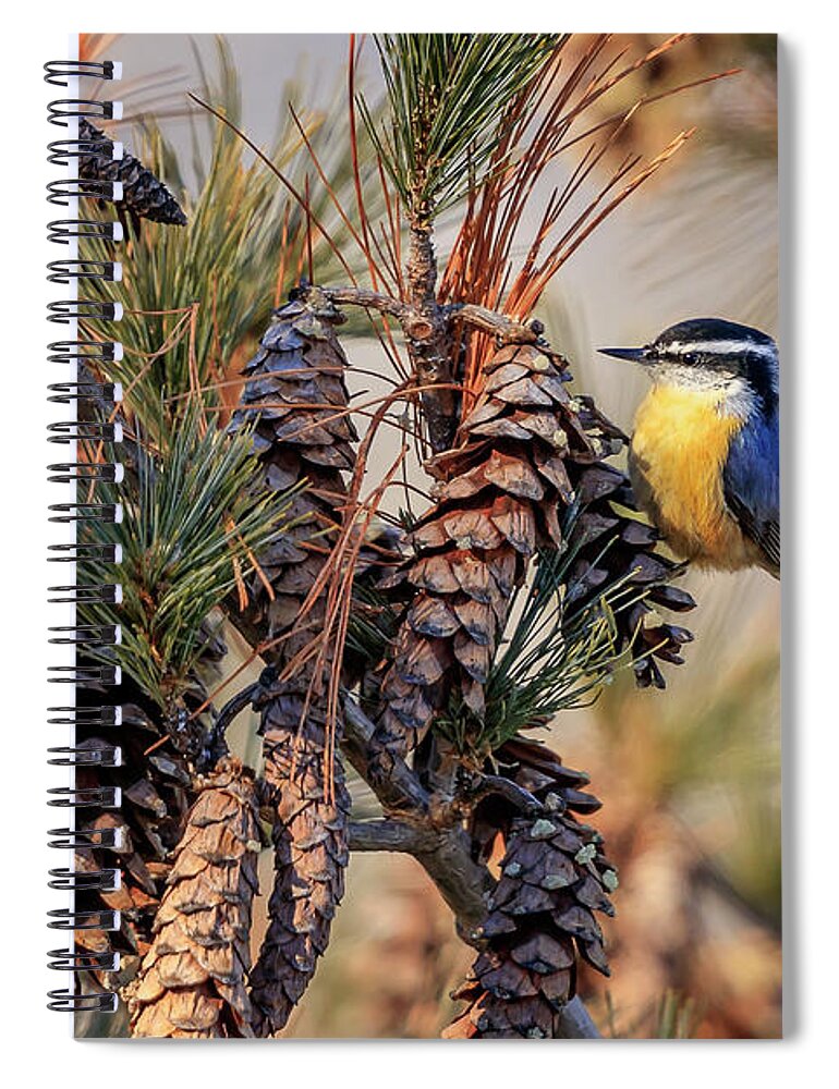 Adorable Spiral Notebook featuring the photograph Black-capped Chickadee #3 by Peter Lakomy