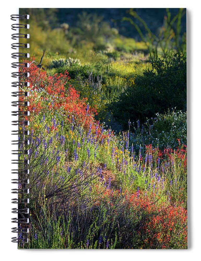 Arizona Spiral Notebook featuring the photograph Desert Wildflowers #3 by Saija Lehtonen