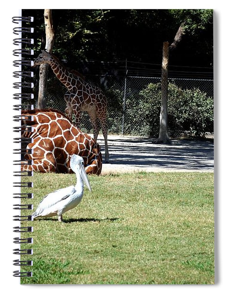 Ft. Worth Spiral Notebook featuring the photograph Easy Sunday Afternoon #3 by Kenny Glover