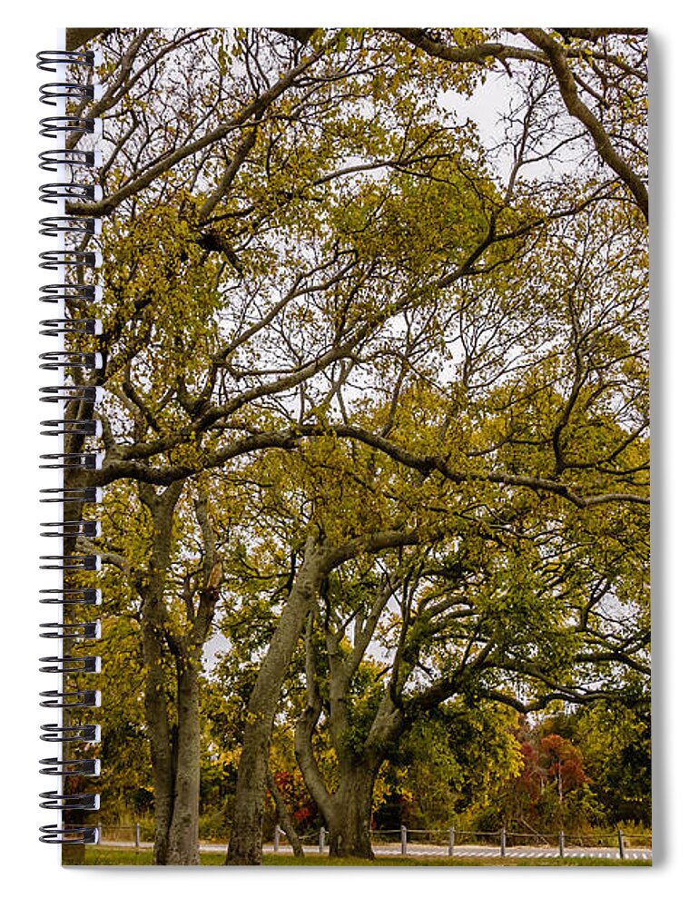 Park Spiral Notebook featuring the photograph Fall foliage #3 by SAURAVphoto Online Store