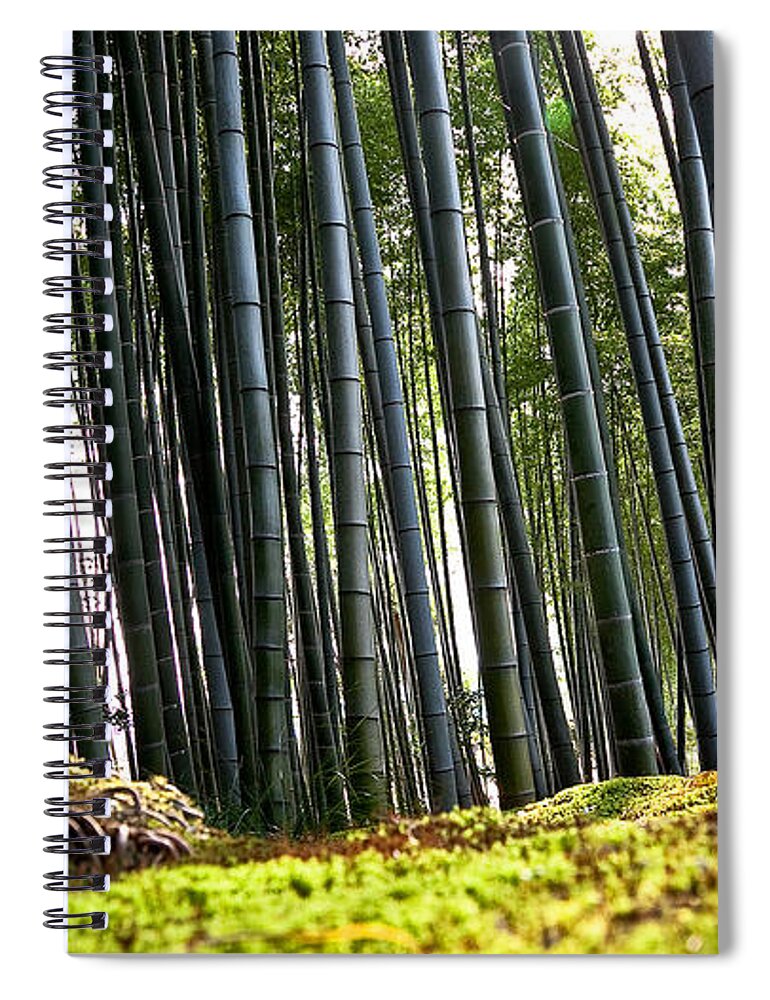 Forest Spiral Notebook featuring the photograph Forest #3 by Jackie Russo