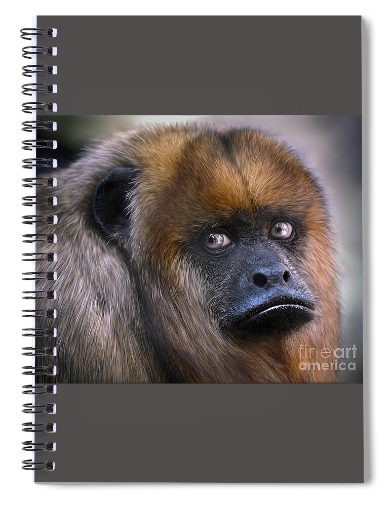 Howler Monkey Spiral Notebook featuring the photograph Howler Monkey #1 by Savannah Gibbs