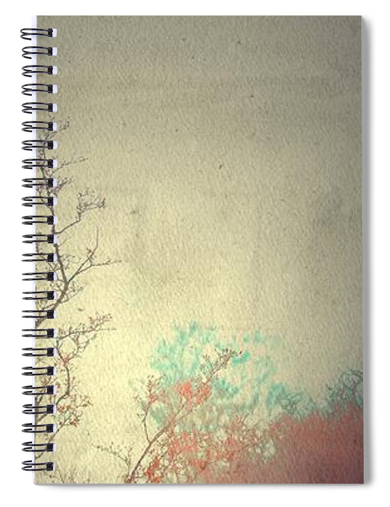  Spiral Notebook featuring the photograph 3 by Mark Ross