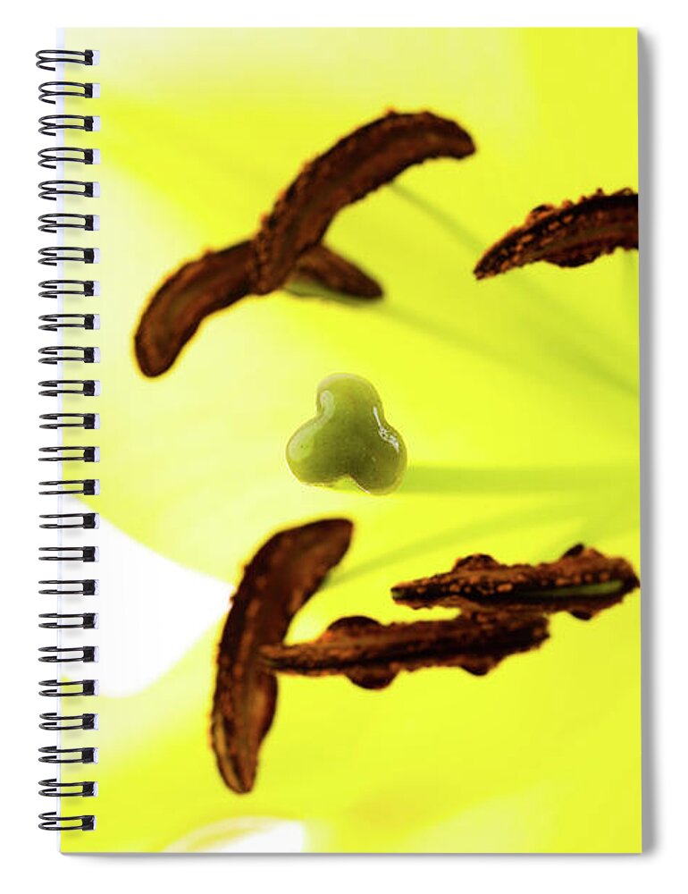 Abstract Spiral Notebook featuring the photograph Oriental Lily Flower by Raul Rodriguez
