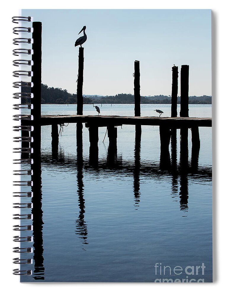 Australian White Pelican Spiral Notebook featuring the photograph Pelican on post #3 by Sheila Smart Fine Art Photography