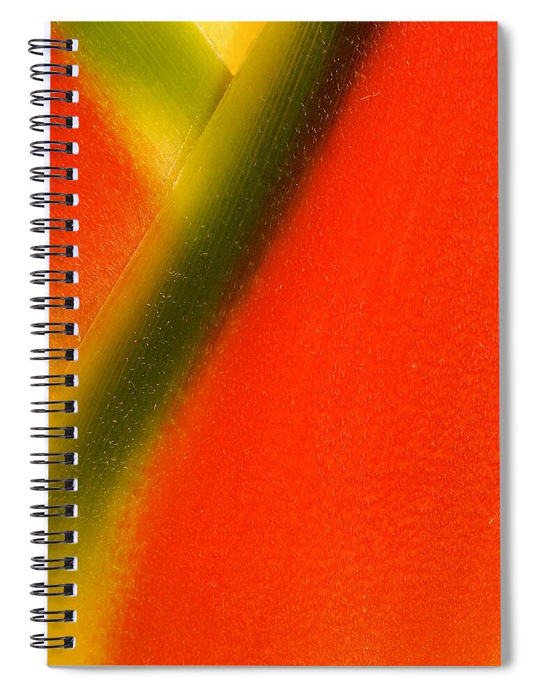 Flowers Spiral Notebook featuring the photograph Photograph of a Lobster Claws Heliconia #3 by Perla Copernik