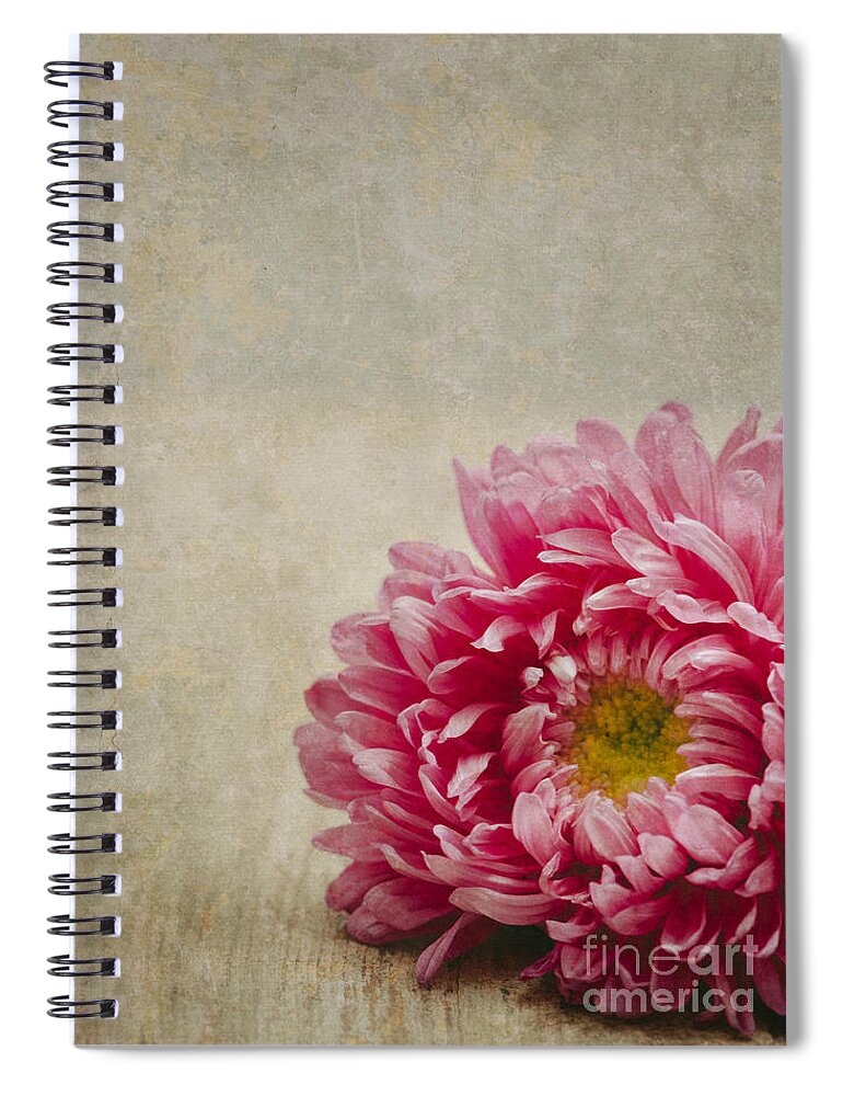 Pink Spiral Notebook featuring the photograph Pink Flower on wooden table by Jelena Jovanovic