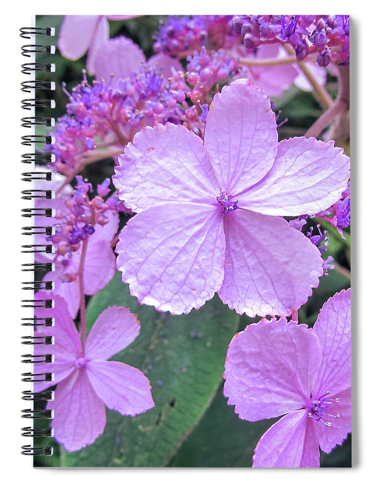 Flower Spiral Notebook featuring the photograph Purple Flowers #3 by Cesar Vieira