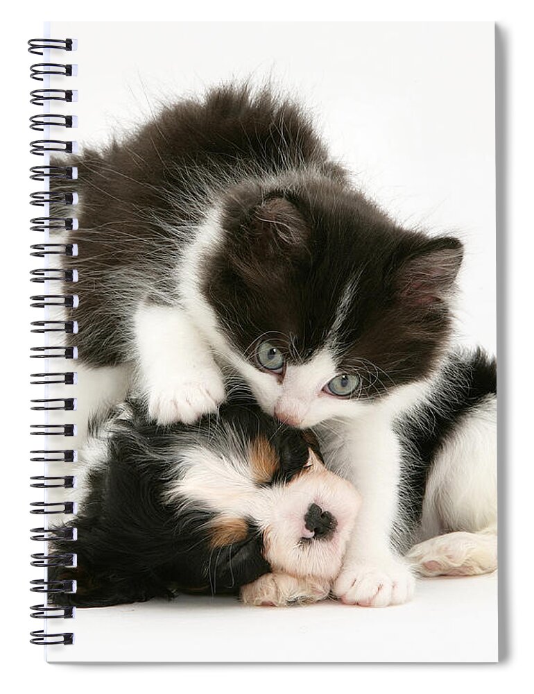 Animal Spiral Notebook featuring the photograph Sleeping Puppy by Jane Burton
