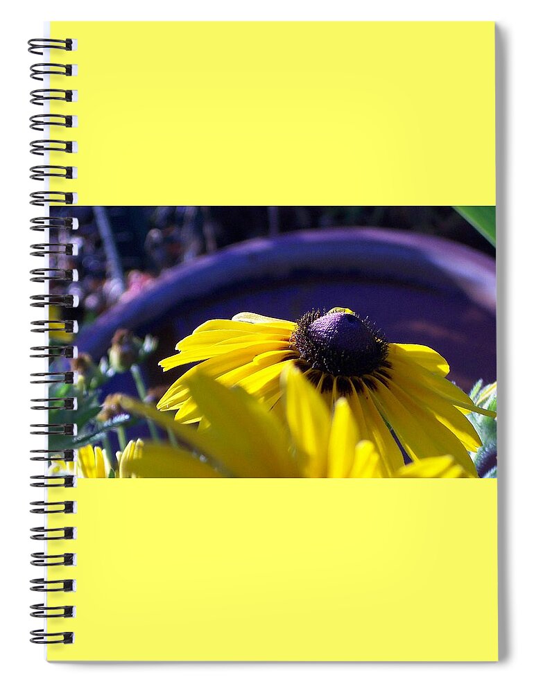 Sundaisy Spiral Notebook featuring the photograph Sun Glory Series by Marika Evanson
