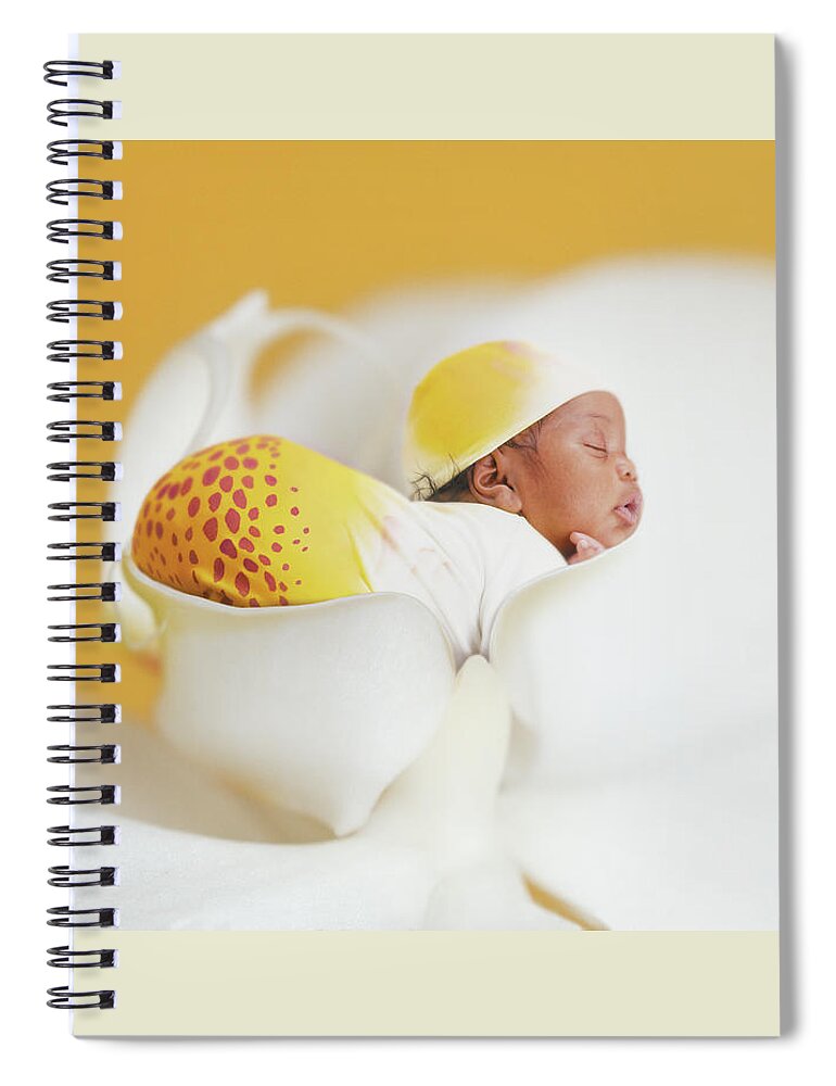 Orchid Spiral Notebook featuring the photograph Telayiah in a Moth Orchid by Anne Geddes