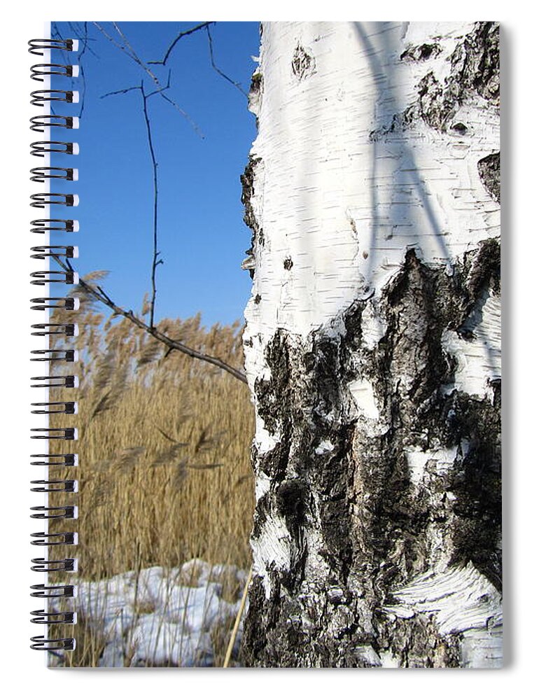 Tree Spiral Notebook featuring the photograph Tree #33 by Jackie Russo
