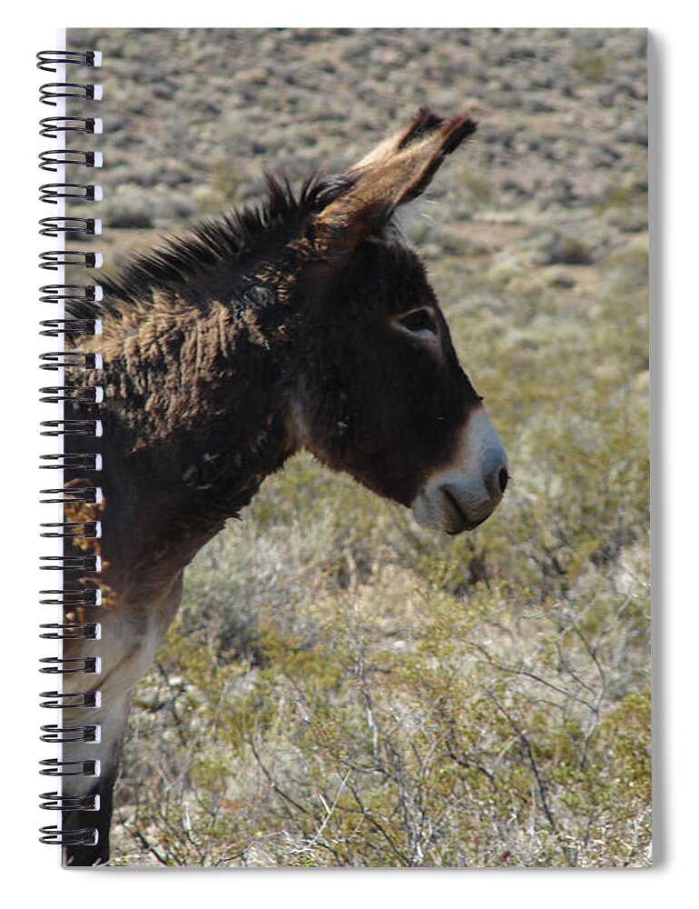 Burro Spiral Notebook featuring the photograph Brown Burro Profile by Carl Moore