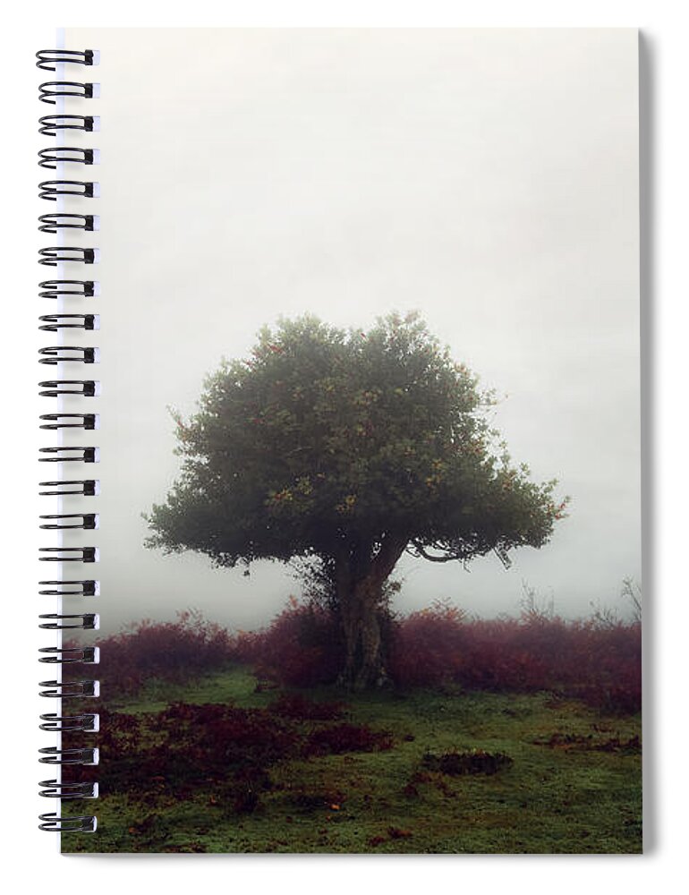 New Forest Spiral Notebook featuring the photograph New Forest - England #4 by Joana Kruse
