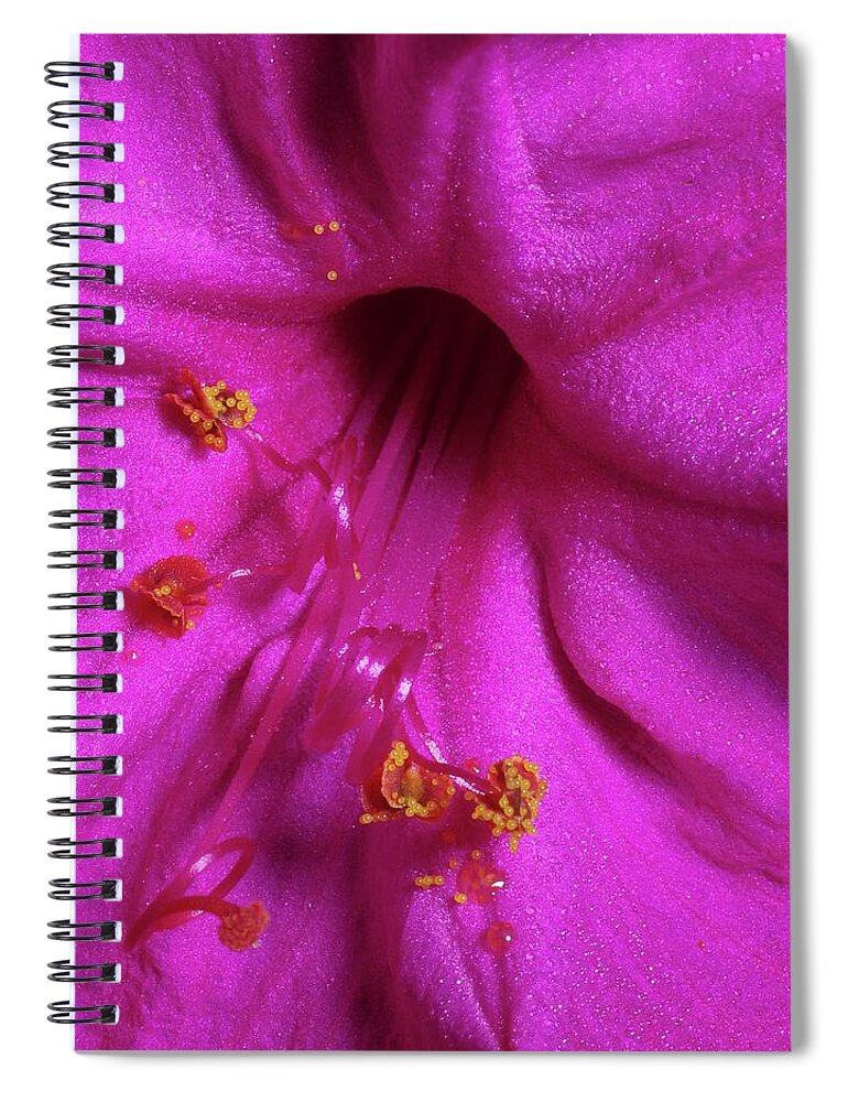 Nature Spiral Notebook featuring the photograph 4 O'clock Bloom by Richard Rizzo