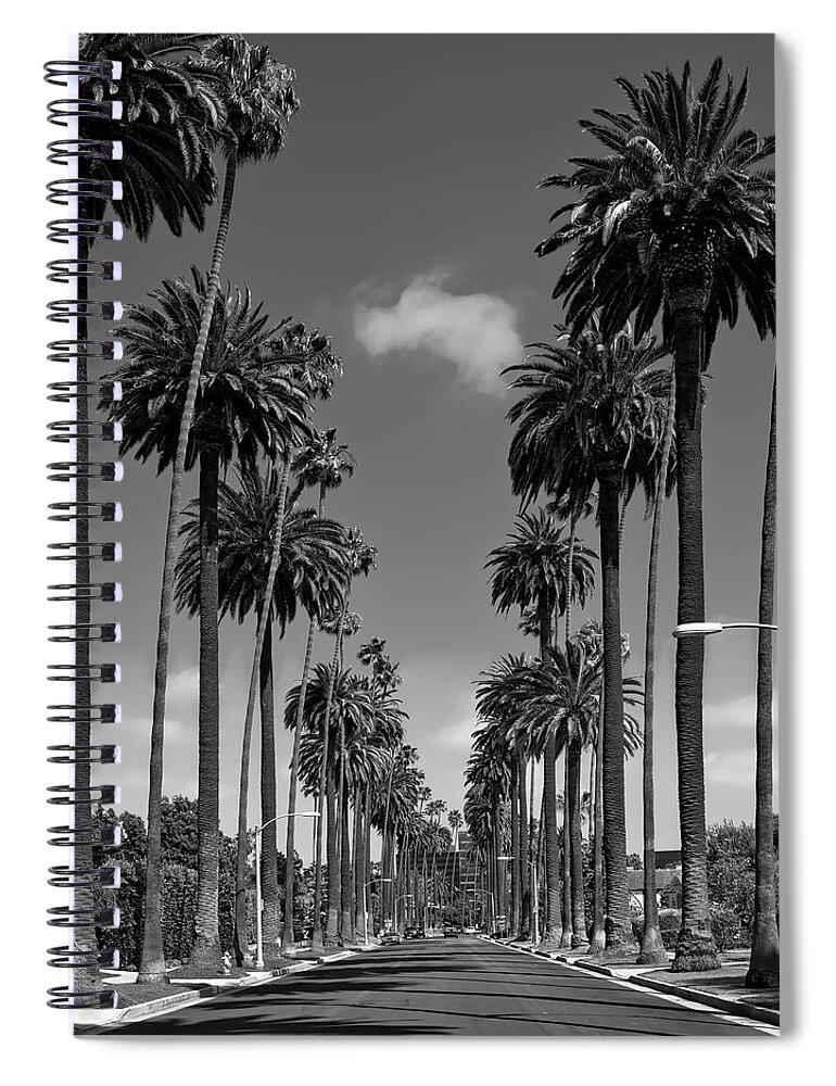 Beverly Hills Spiral Notebook featuring the photograph Palms Of Beverly Hills #4 by Mountain Dreams
