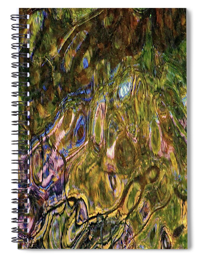 Reflections Spiral Notebook featuring the photograph Reflections by Doolittle Photography and Art