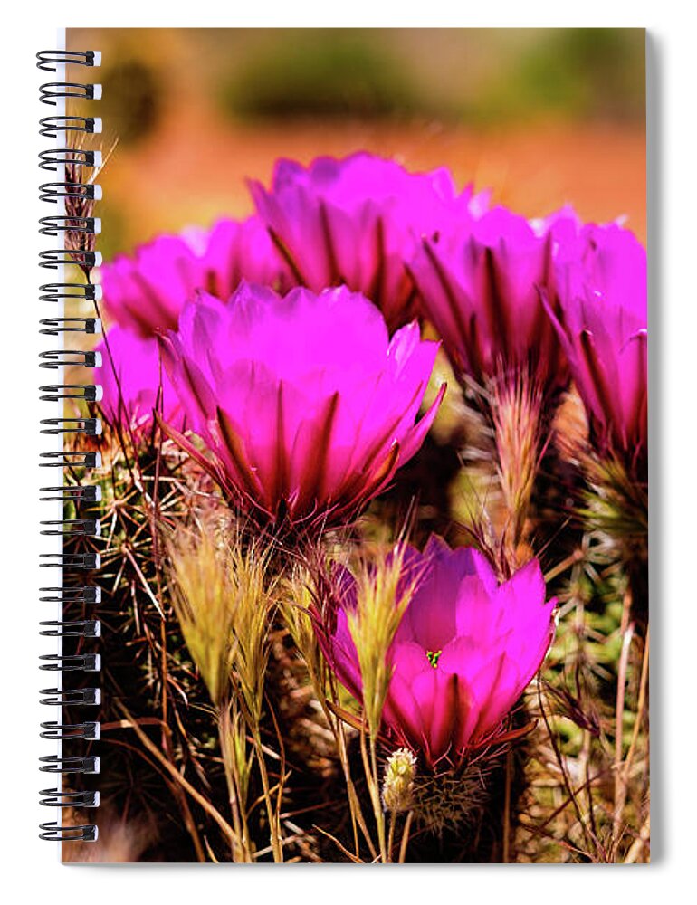 Arizona Spiral Notebook featuring the photograph Sedona Cactus Flower by Raul Rodriguez
