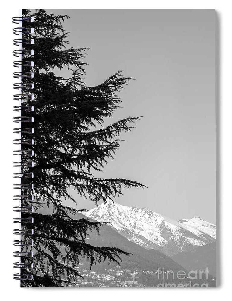 Tree Spiral Notebook featuring the photograph Tree and Mountain #4 by Mats Silvan