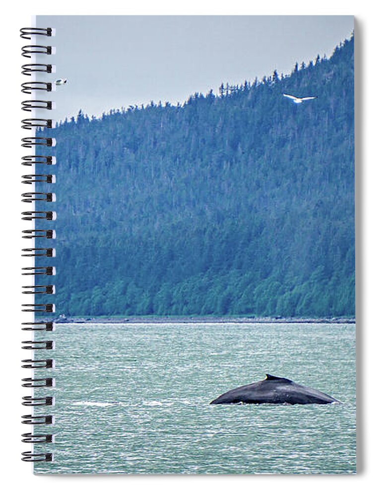 Tail Spiral Notebook featuring the photograph Whale Watching On Favorite Channel Alaska #4 by Alex Grichenko