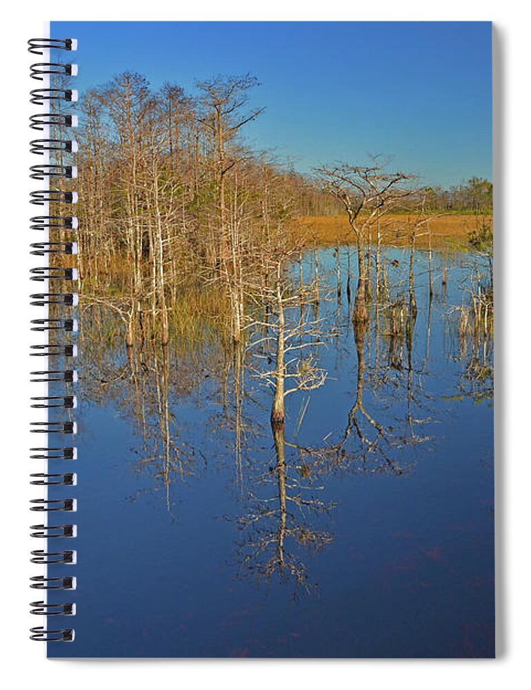 Grassy Waters Preserve Spiral Notebook featuring the photograph 41- Mirror Image by Joseph Keane