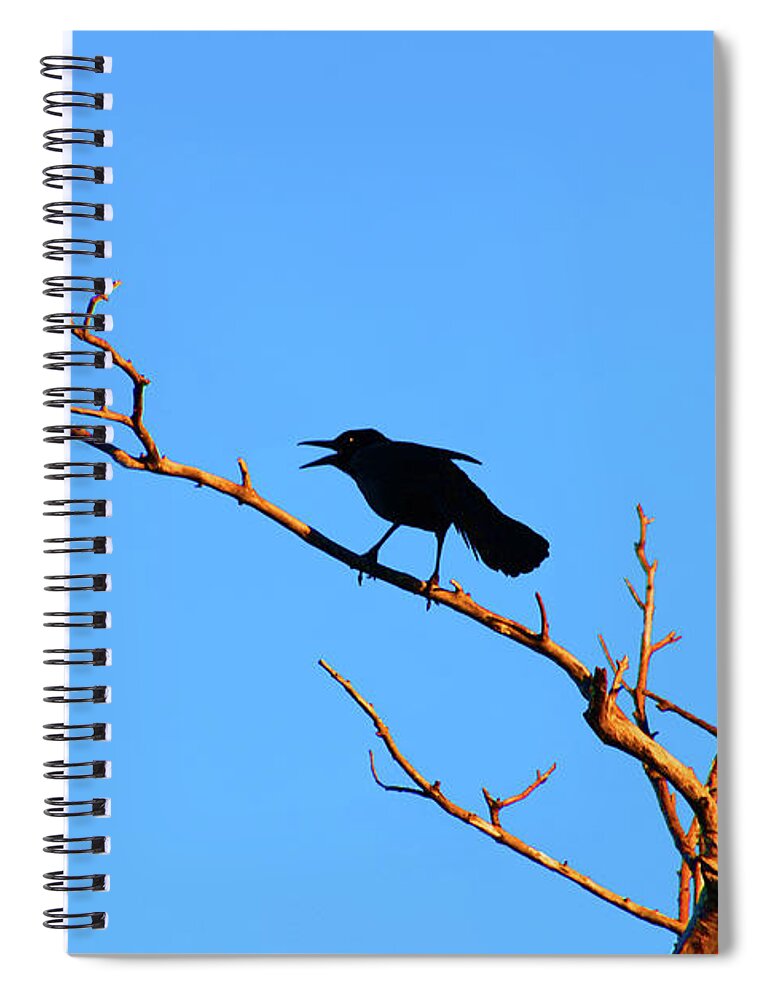  Spiral Notebook featuring the photograph 47- Crow For Me by Joseph Keane