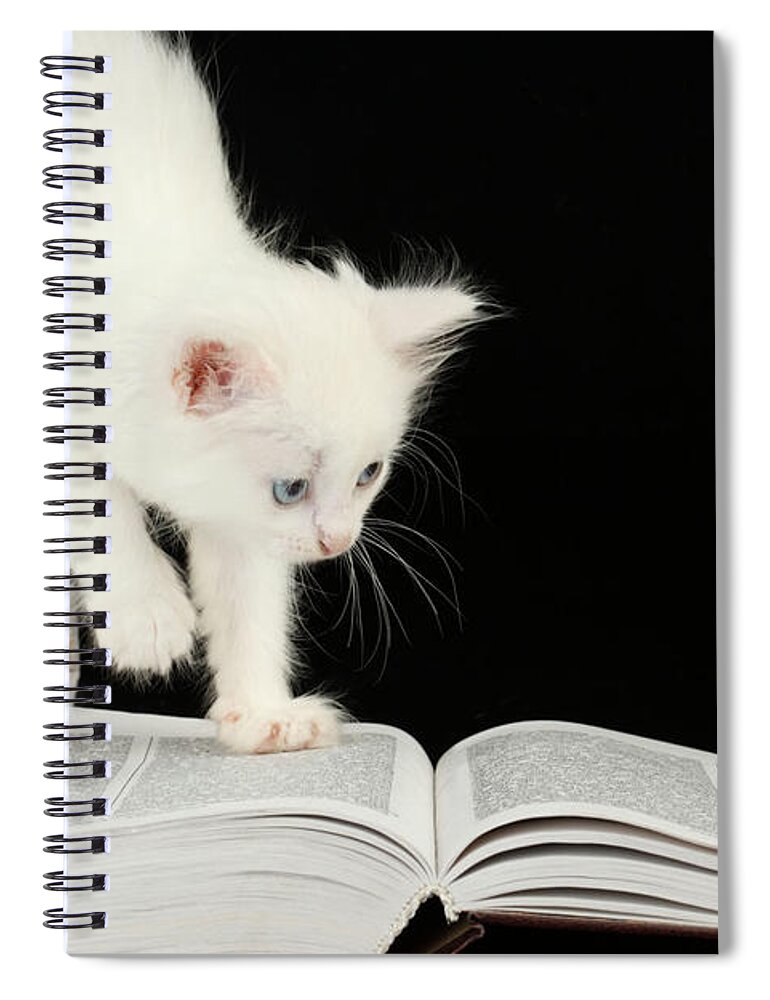 Cat Spiral Notebook featuring the digital art Cat #5 by Maye Loeser