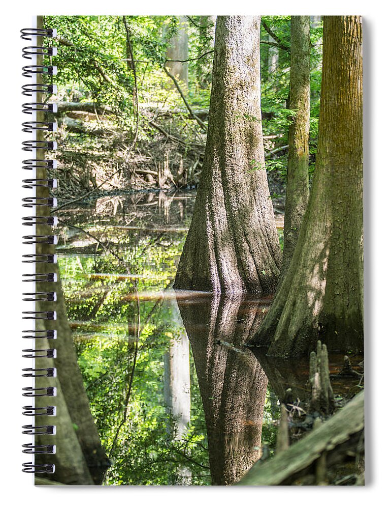 Carolina Spiral Notebook featuring the photograph cypress forest and swamp of Congaree National Park in South Caro #5 by Alex Grichenko