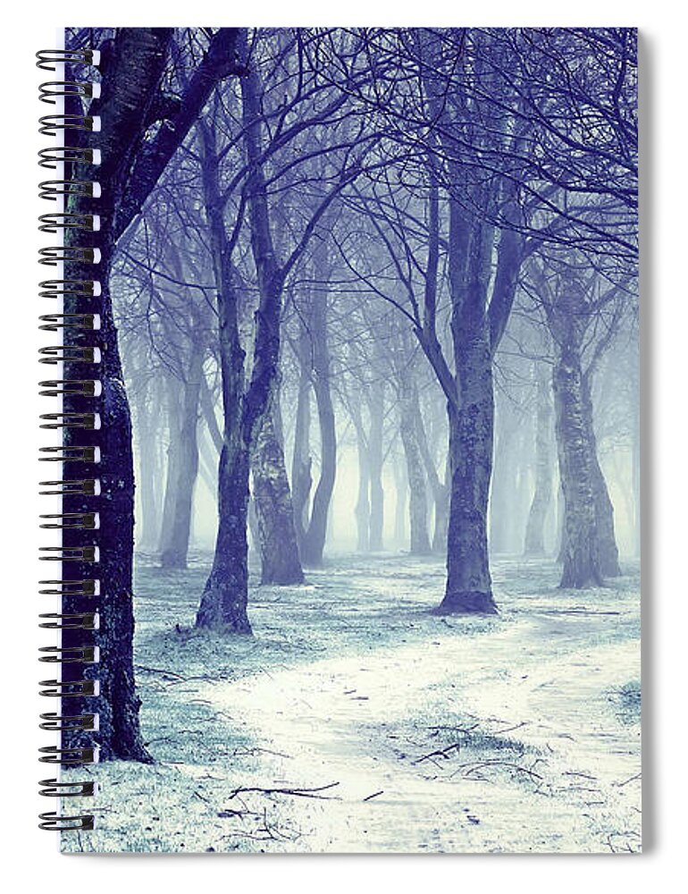 Forest Spiral Notebook featuring the photograph Forest #5 by Mariel Mcmeeking