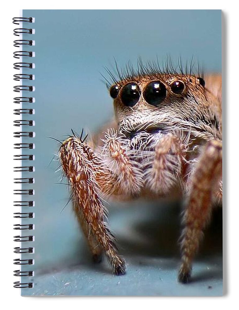 Spider Spiral Notebook featuring the digital art Spider #5 by Maye Loeser