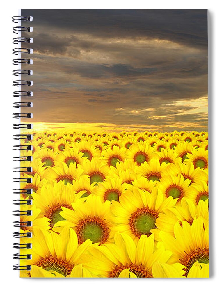 Sunflower Spiral Notebook featuring the photograph Sunflower #5 by Mariel Mcmeeking