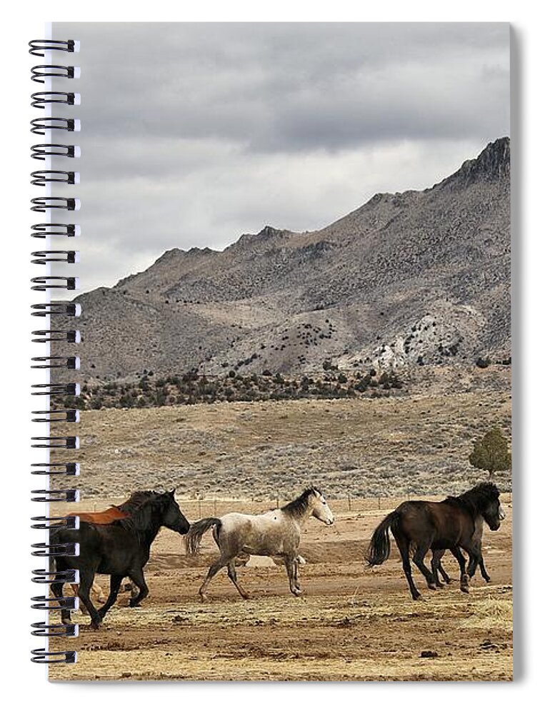 Virginia Range Mustangs Spiral Notebook featuring the photograph Virginia Range Mustangs #5 by Maria Jansson