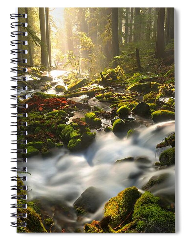 Sol Duc Spiral Notebook featuring the photograph Streaming Through Sol Duc by Adam Jewell